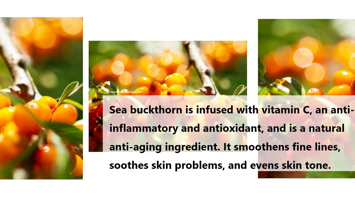 Sanddorn ist mit Vitamin C angereichert, einem entzündungshemmenden und antioxidativen Mittel, und ist ein natürlicher Anti-Aging Inhaltsstoff. Es glättet feine Linien, beruhigt Hautprobleme und gleicht den Hautton aus.